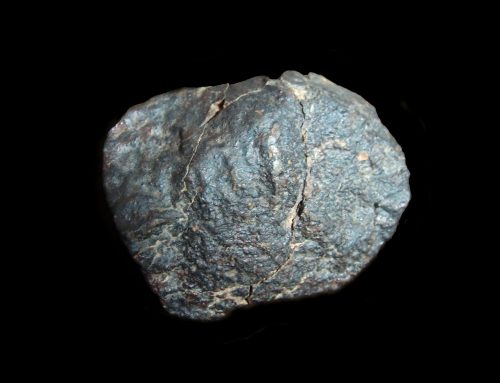 Stony Meteorite from Sahara Desert